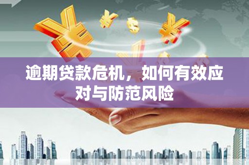 金溪逾期贷款危机，如何有效应对与防范风险