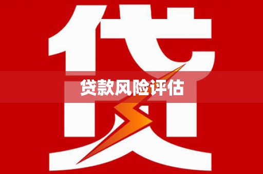 金溪贷款风险评估