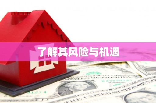 金溪了解其风险与机遇