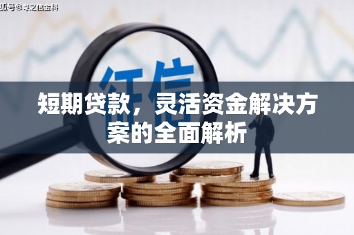 金溪短期贷款，灵活资金解决方案的全面解析