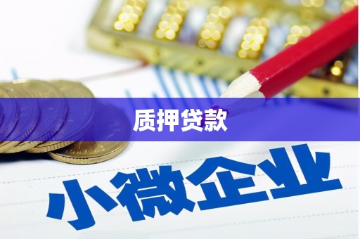 金溪质押贷款