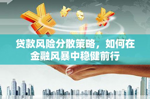 金溪贷款风险分散策略，如何在金融风暴中稳健前行