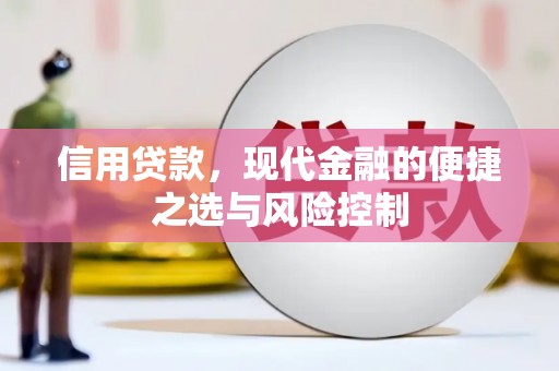 金溪信用贷款，现代金融的便捷之选与风险控制