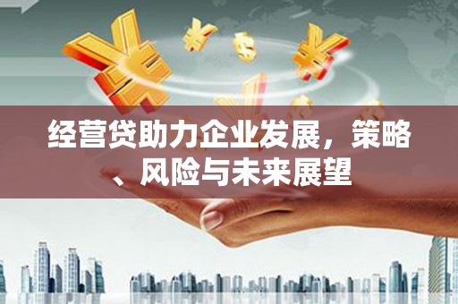 金溪经营贷助力企业发展，策略、风险与未来展望