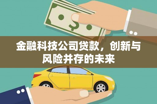 金溪金融科技公司贷款，创新与风险并存的未来