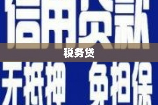 金溪税务贷