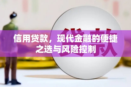 金溪信用贷款，现代金融的便捷之选与风险控制