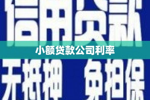 金溪小额贷款公司利率