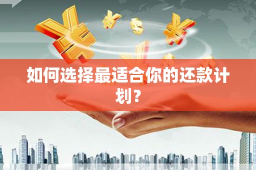 金溪如何选择最适合你的还款计划？