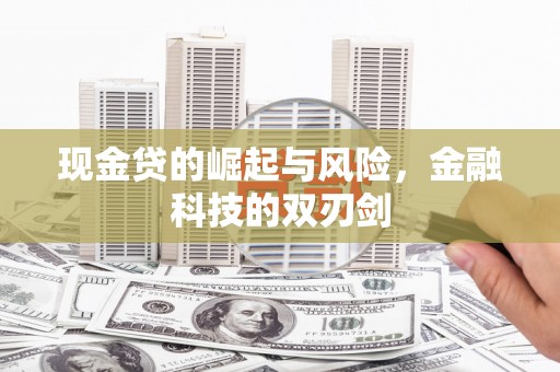 金溪现金贷的崛起与风险，金融科技的双刃剑