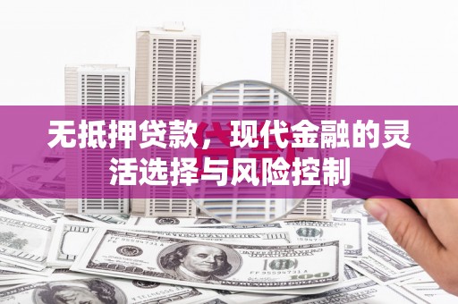 金溪无抵押贷款，现代金融的灵活选择与风险控制