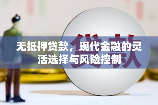 金溪无抵押贷款，现代金融的灵活选择与风险控制