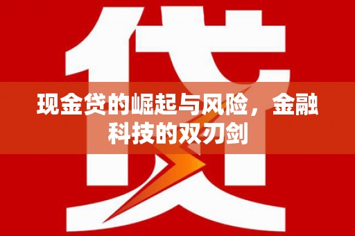 金溪现金贷的崛起与风险，金融科技的双刃剑