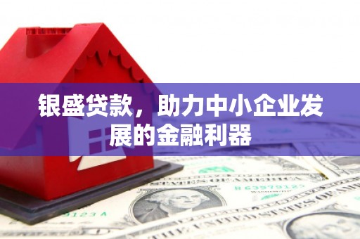 金溪银盛贷款，助力中小企业发展的金融利器