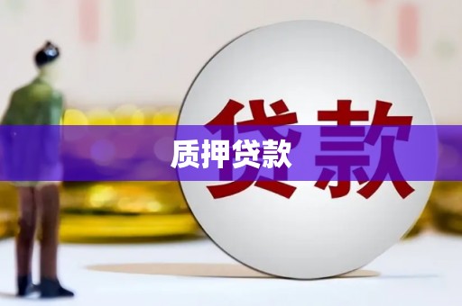 金溪质押贷款