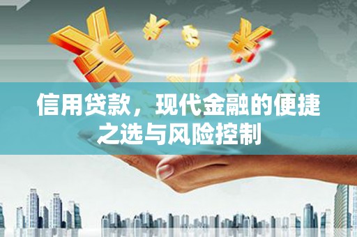 金溪信用贷款，现代金融的便捷之选与风险控制