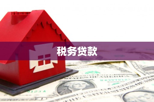 金溪税务贷款