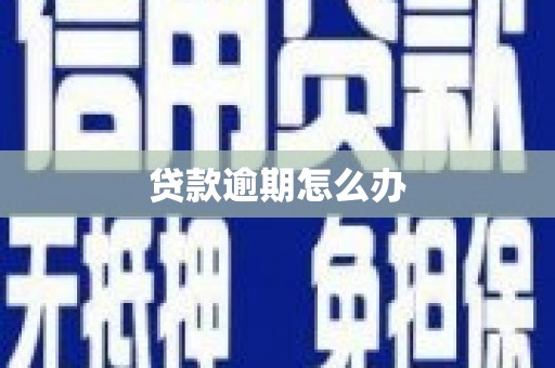 金溪贷款逾期怎么办