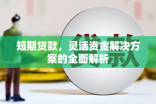 金溪短期贷款，灵活资金解决方案的全面解析