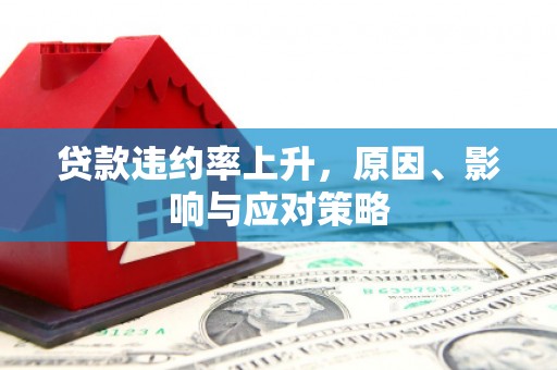 金溪贷款违约率上升，原因、影响与应对策略