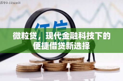 金溪微粒贷，现代金融科技下的便捷借贷新选择