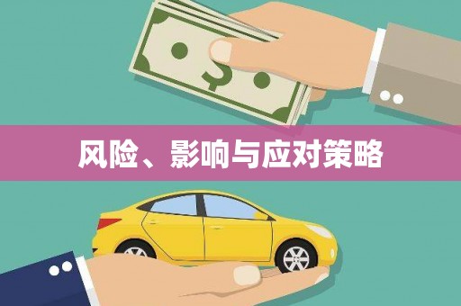金溪风险、影响与应对策略