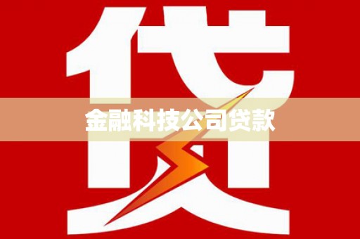 金溪金融科技公司贷款