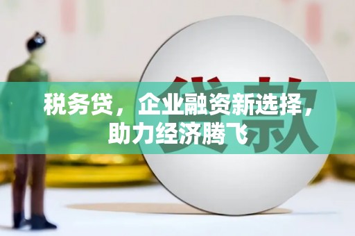 金溪税务贷，企业融资新选择，助力经济腾飞