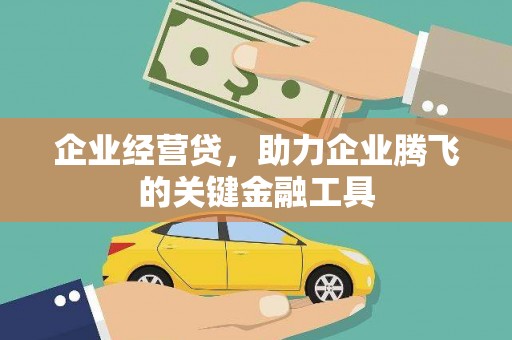 金溪企业经营贷，助力企业腾飞的关键金融工具