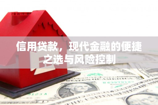 金溪信用贷款，现代金融的便捷之选与风险控制
