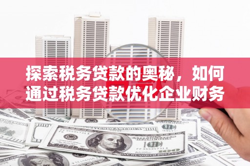 金溪探索税务贷款的奥秘，如何通过税务贷款优化企业财务