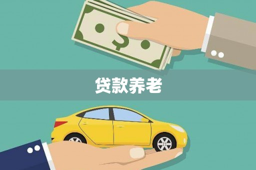 金溪贷款养老
