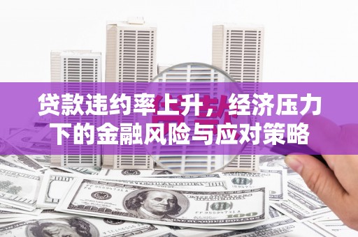 金溪贷款违约率上升，经济压力下的金融风险与应对策略