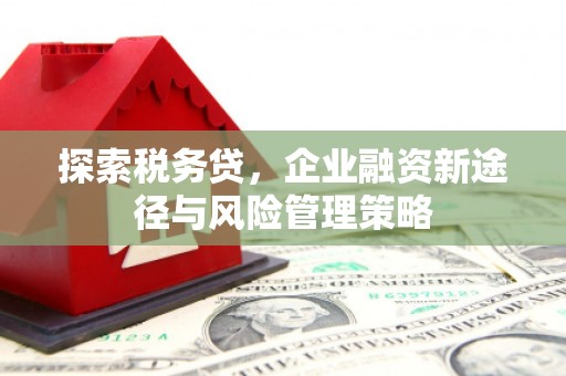 金溪探索税务贷，企业融资新途径与风险管理策略