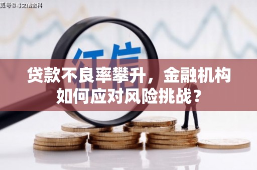 金溪贷款不良率攀升，金融机构如何应对风险挑战？