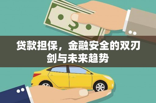 金溪贷款担保，金融安全的双刃剑与未来趋势