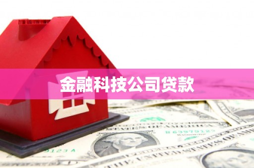 金溪金融科技公司贷款