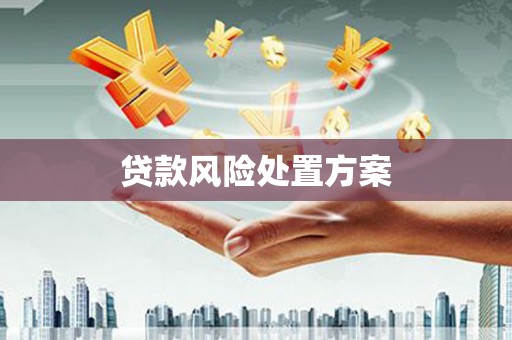 金溪贷款风险处置方案
