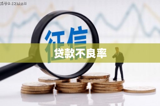 金溪贷款不良率