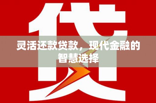 金溪灵活还款贷款，现代金融的智慧选择