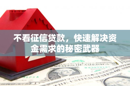 金溪不看征信贷款，快速解决资金需求的秘密武器