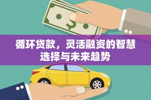 金溪循环贷款，灵活融资的智慧选择与未来趋势