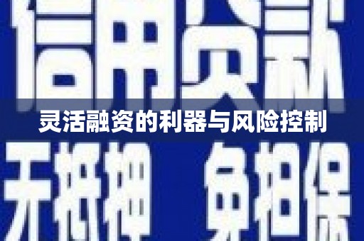 金溪灵活融资的利器与风险控制