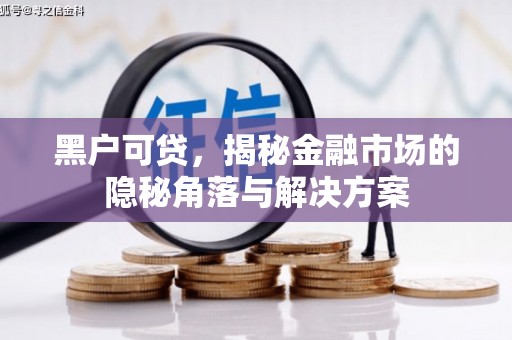 金溪黑户可贷，揭秘金融市场的隐秘角落与解决方案