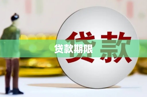 金溪贷款期限
