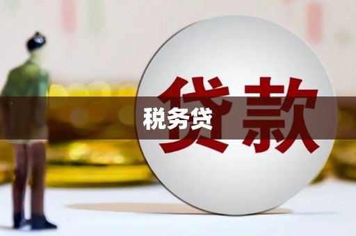 金溪税务贷