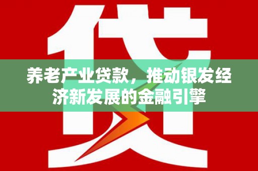 金溪养老产业贷款，推动银发经济新发展的金融引擎