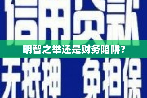 金溪明智之举还是财务陷阱？
