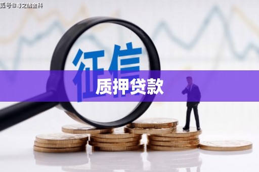 金溪质押贷款