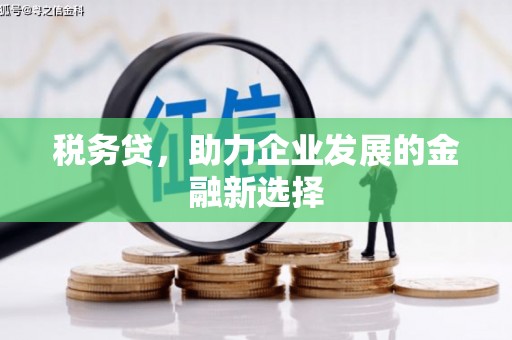 金溪税务贷，助力企业发展的金融新选择